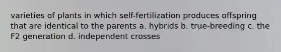 varieties of plants in which self-fertilization produces offspring that are identical to the parents a. hybrids b. true-breeding c. the F2 generation d. independent crosses