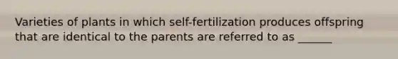 Varieties of plants in which self-fertilization produces offspring that are identical to the parents are referred to as ______