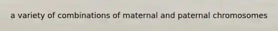 a variety of combinations of maternal and paternal chromosomes