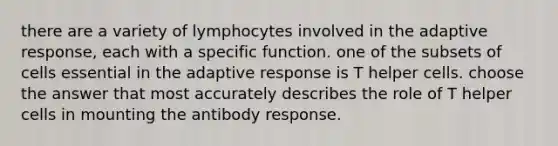 there are a variety of lymphocytes involved in the adaptive response, each with a specific function. one of the subsets of cells essential in the adaptive response is T helper cells. choose the answer that most accurately describes the role of T helper cells in mounting the antibody response.