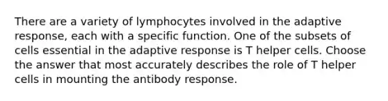 There are a variety of lymphocytes involved in the adaptive response, each with a specific function. One of the subsets of cells essential in the adaptive response is T helper cells. Choose the answer that most accurately describes the role of T helper cells in mounting the antibody response.