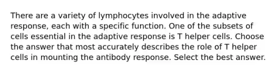 There are a variety of lymphocytes involved in the adaptive response, each with a specific function. One of the subsets of cells essential in the adaptive response is T helper cells. Choose the answer that most accurately describes the role of T helper cells in mounting the antibody response. Select the best answer.