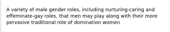 A variety of male gender roles, including nurturing-caring and effeminate-gay roles, that men may play along with their more pervasive traditional role of domination women