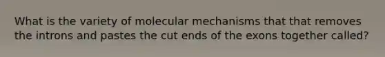 What is the variety of molecular mechanisms that that removes the introns and pastes the cut ends of the exons together called?