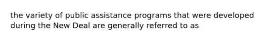 the variety of public assistance programs that were developed during the New Deal are generally referred to as