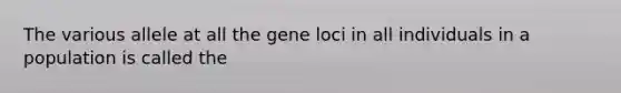 The various allele at all the gene loci in all individuals in a population is called the