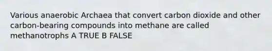 Various anaerobic Archaea that convert carbon dioxide and other carbon-bearing compounds into methane are called methanotrophs A TRUE B FALSE