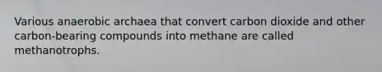 Various anaerobic archaea that convert carbon dioxide and other carbon-bearing compounds into methane are called methanotrophs.