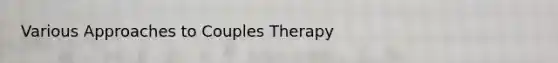 Various Approaches to Couples Therapy