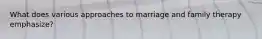 What does various approaches to marriage and family therapy emphasize?