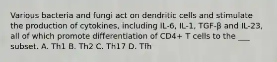 Various bacteria and fungi act on dendritic cells and stimulate the production of cytokines, including IL-6, IL-1, TGF-β and IL-23, all of which promote differentiation of CD4+ T cells to the ___ subset. A. Th1 B. Th2 C. Th17 D. Tfh