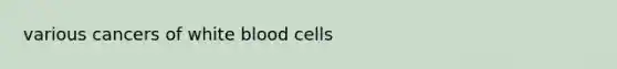 various cancers of white blood cells