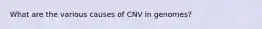 What are the various causes of CNV in genomes?