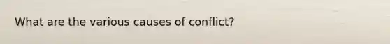 What are the various causes of conflict?