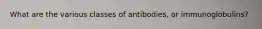 What are the various classes of antibodies, or immunoglobulins?