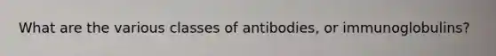 What are the various classes of antibodies, or immunoglobulins?