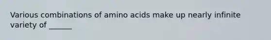 Various combinations of amino acids make up nearly infinite variety of ______