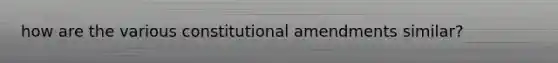 how are the various constitutional amendments similar?