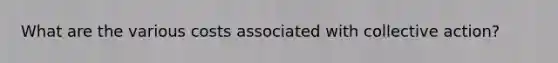 What are the various costs associated with collective action?