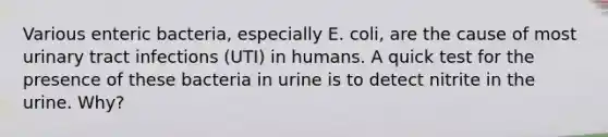 Various enteric bacteria, especially E. coli, are the cause of most urinary tract infections (UTI) in humans. A quick test for the presence of these bacteria in urine is to detect nitrite in the urine. Why?