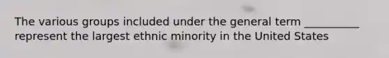 The various groups included under the general term __________ represent the largest ethnic minority in the United States