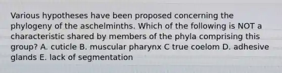 Various hypotheses have been proposed concerning the phylogeny of the aschelminths. Which of the following is NOT a characteristic shared by members of the phyla comprising this group? A. cuticle B. muscular pharynx C true coelom D. adhesive glands E. lack of segmentation