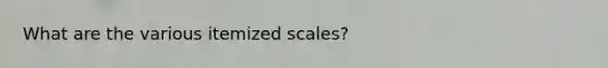 What are the various itemized scales?