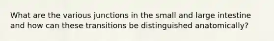 What are the various junctions in the small and large intestine and how can these transitions be distinguished anatomically?