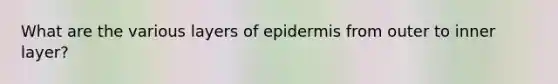 What are the various layers of epidermis from outer to inner layer?