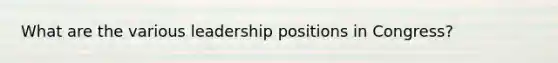 What are the various leadership positions in Congress?