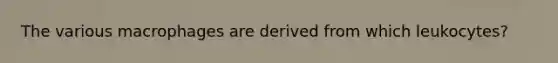 The various macrophages are derived from which leukocytes?