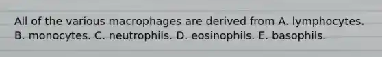 All of the various macrophages are derived from A. lymphocytes. B. monocytes. C. neutrophils. D. eosinophils. E. basophils.