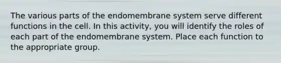 The various parts of the endomembrane system serve different functions in the cell. In this activity, you will identify the roles of each part of the endomembrane system. Place each function to the appropriate group.