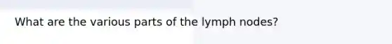 What are the various parts of the lymph nodes?