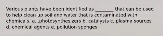 Various plants have been identified as ________ that can be used to help clean up soil and water that is contaminated with chemicals. a. .photosynthesizers b. catalysts c. plasma sources d. chemical agents e. pollution sponges