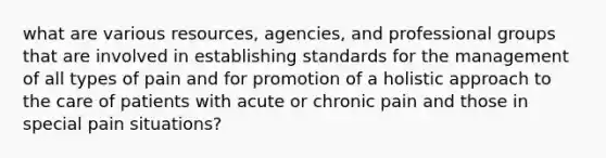 what are various resources, agencies, and professional groups that are involved in establishing standards for the management of all types of pain and for promotion of a holistic approach to the care of patients with acute or chronic pain and those in special pain situations?