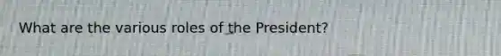 What are the various roles of the President?