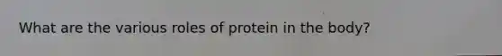 What are the various roles of protein in the body?