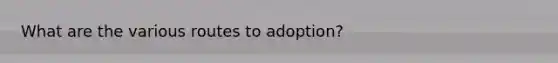 What are the various routes to adoption?