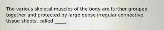 The various skeletal muscles of the body are further grouped together and protected by large dense irregular connective tissue sheets, called _____.