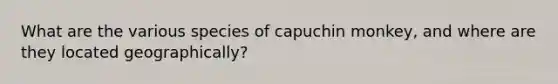 What are the various species of capuchin monkey, and where are they located geographically?