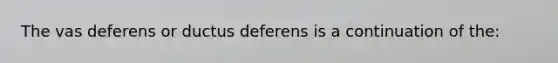 The vas deferens or ductus deferens is a continuation of the: