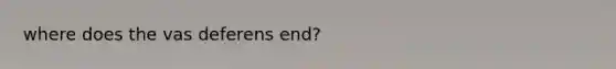 where does the vas deferens end?