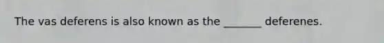 The vas deferens is also known as the _______ deferenes.