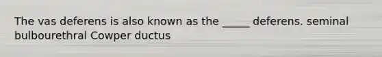The vas deferens is also known as the _____ deferens. seminal bulbourethral Cowper ductus