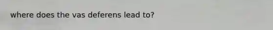 where does the vas deferens lead to?