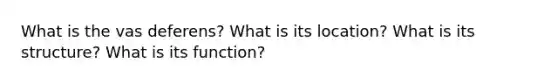 What is the vas deferens? What is its location? What is its structure? What is its function?