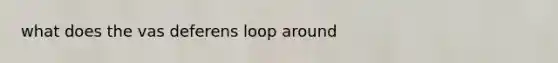 what does the vas deferens loop around