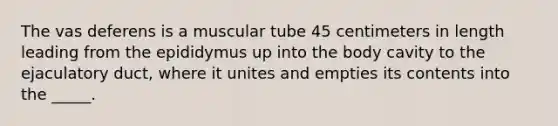 The vas deferens is a muscular tube 45 centimeters in length leading from the epididymus up into the body cavity to the ejaculatory duct, where it unites and empties its contents into the _____.