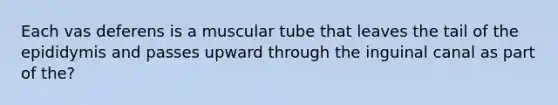 Each vas deferens is a muscular tube that leaves the tail of the epididymis and passes upward through the inguinal canal as part of the?